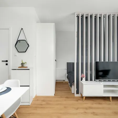 Apartment With Parking In Wilda Near Mtp By Renters