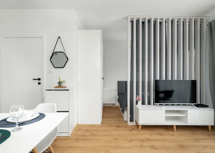 Apartment With Parking In Wilda Near Mtp By Renters